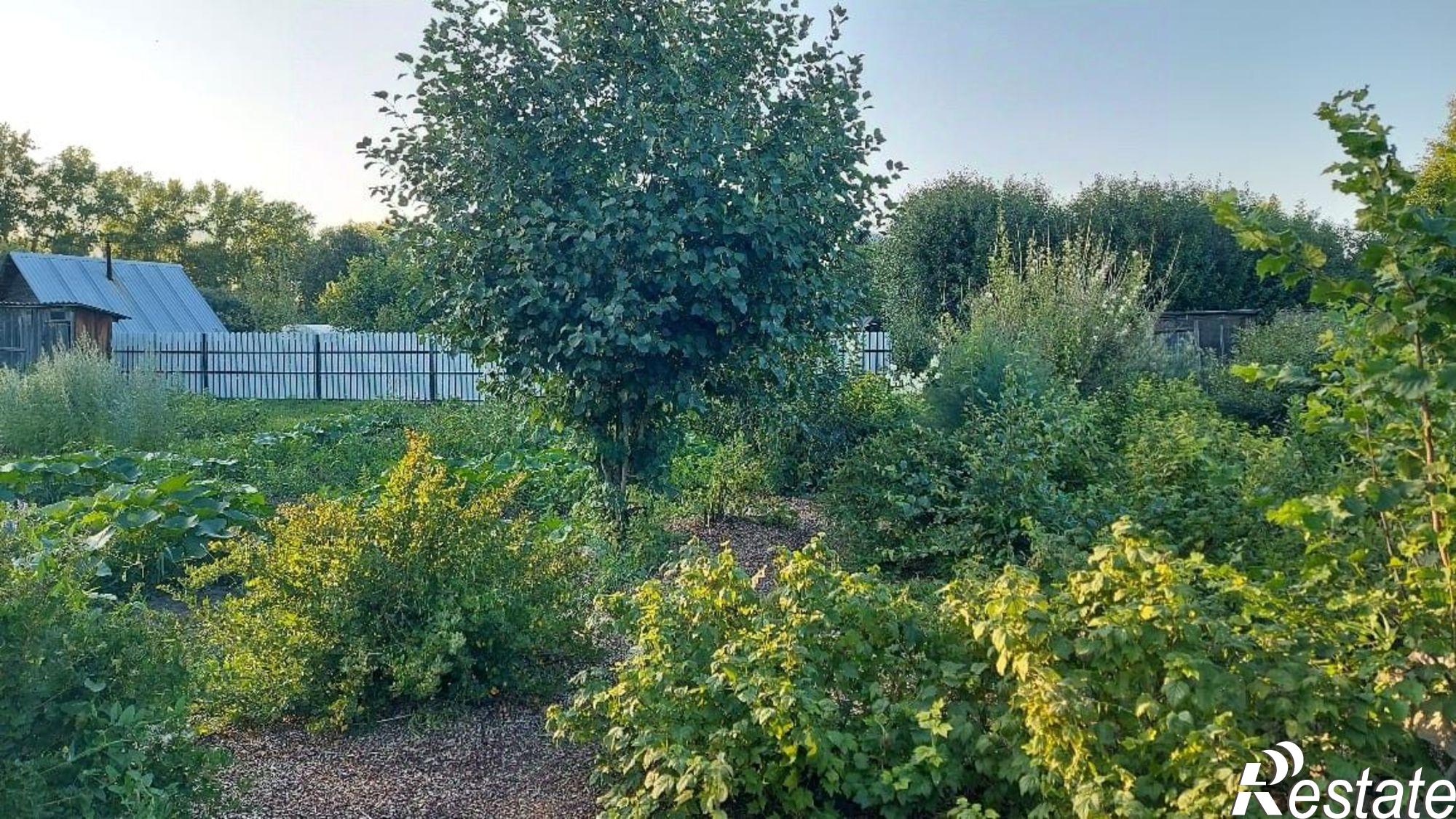 Купить землю, земельный участок за 1 000 000 рублей на городской округ Барнаул