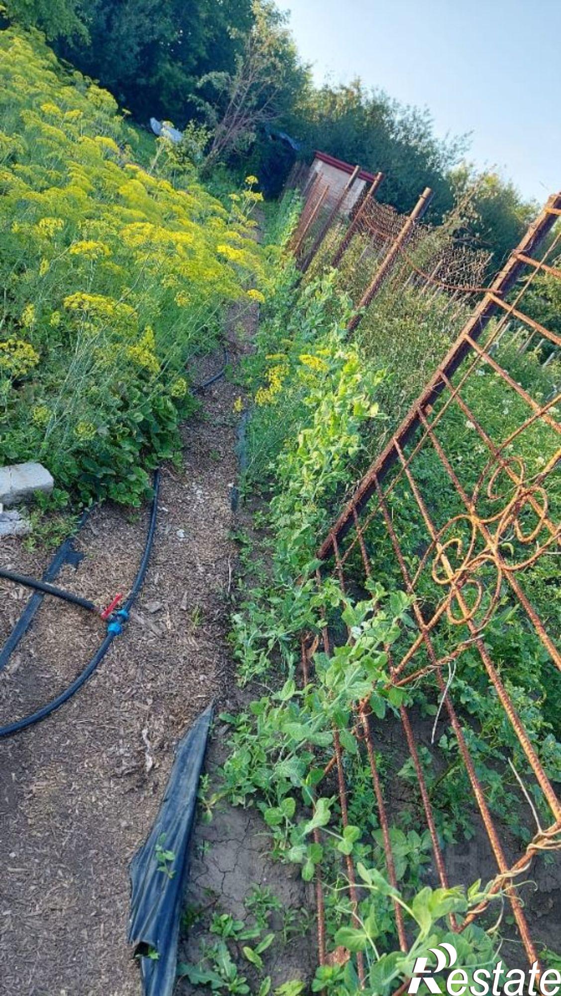 Купить землю, земельный участок за 1 000 000 рублей на городской округ Барнаул