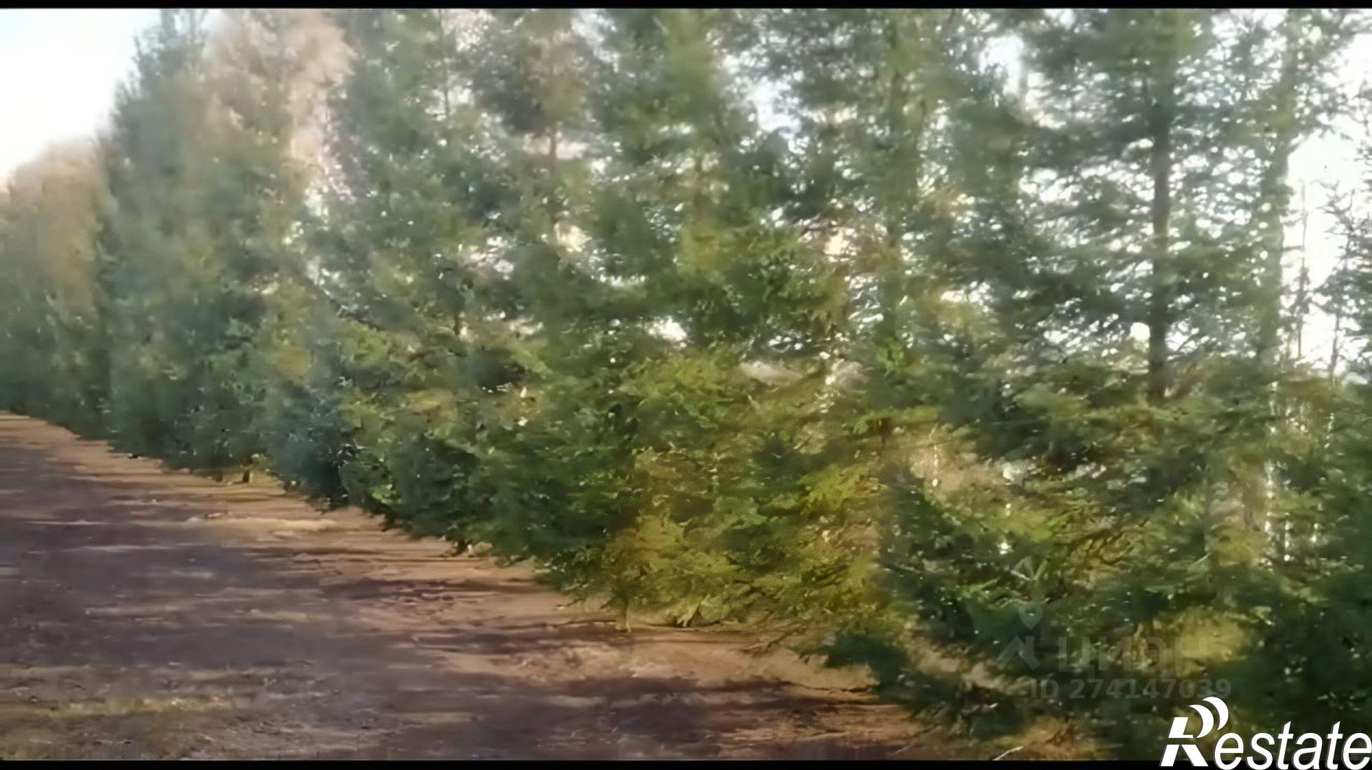 Купить землю, земельный участок за 4 499 000 рублей на городской округ Барнаул