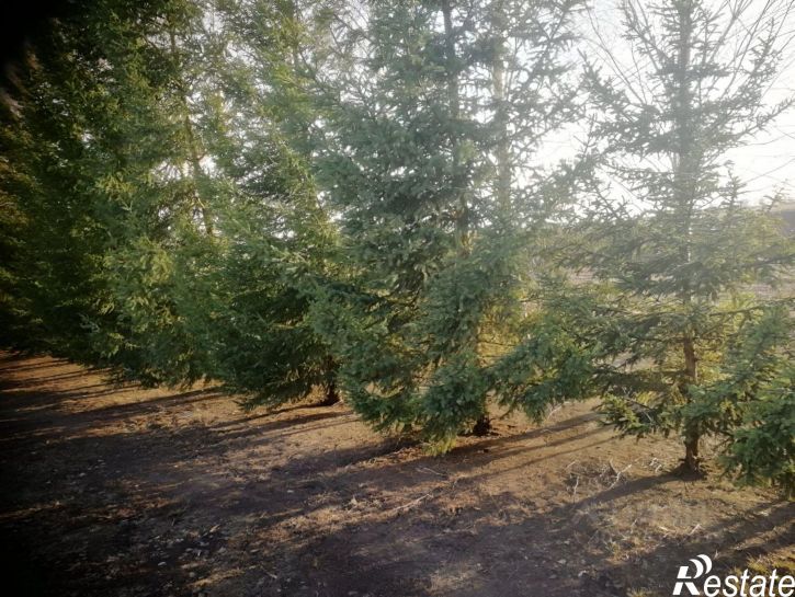 Земельный участок городской округ Барнаул