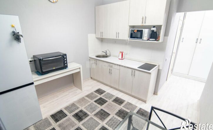 1-комн квартира ул Партизанская, 55,  д. 55