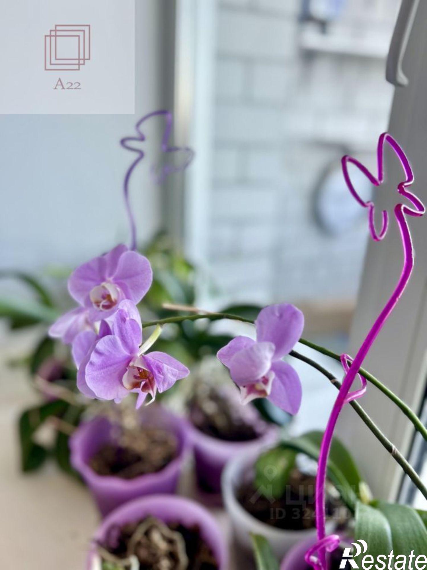 Купить квартиру за 12 850 000 рублей на улица Попова, 150