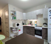 1-комн, 40кв м, этаж 3/9 улица Антона Петрова, 239