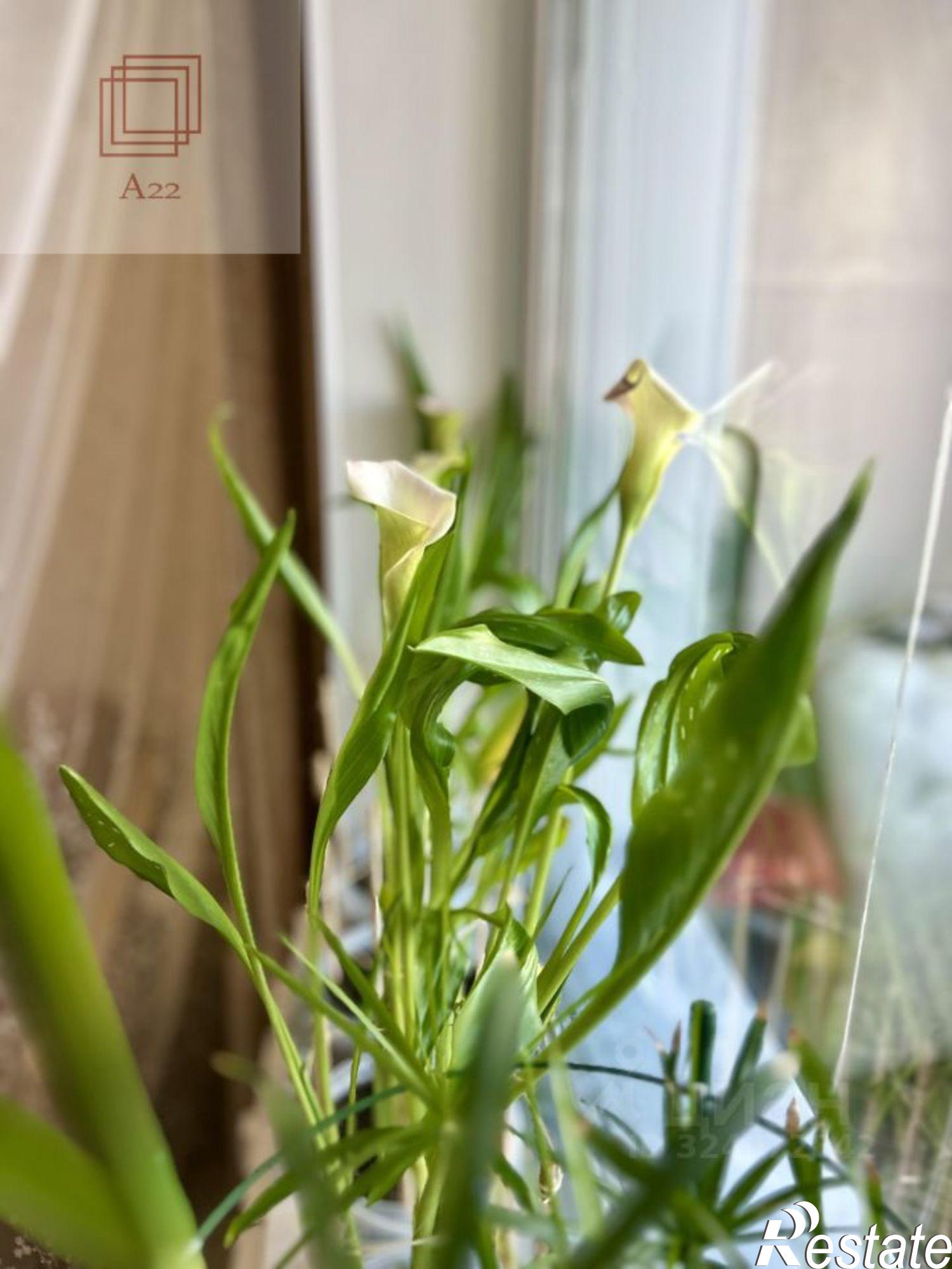 Купить квартиру за 6 490 000 рублей на ул Взлетная, 50