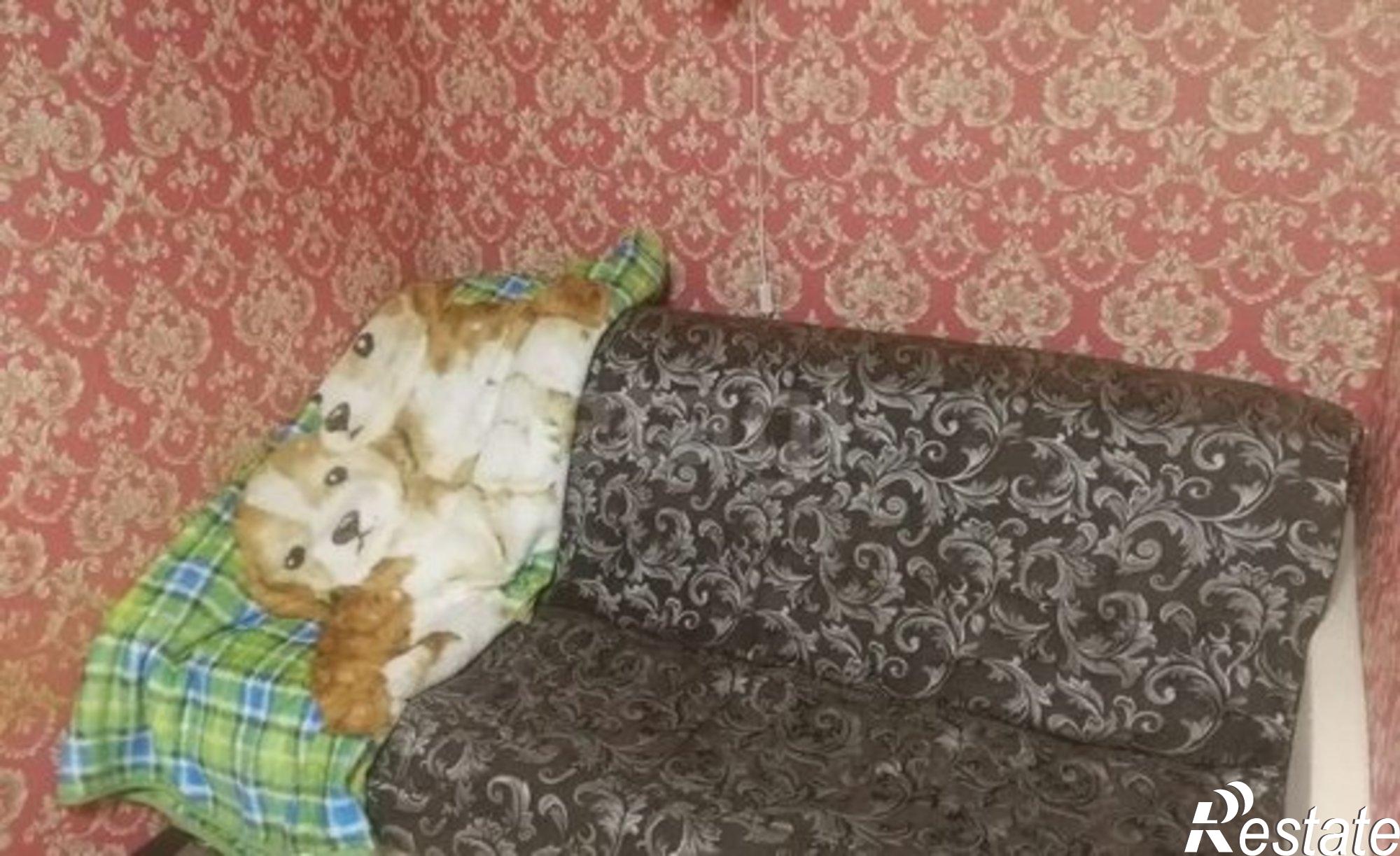 Купить квартиру за 5 990 000 рублей на Интернациональная улица, 16