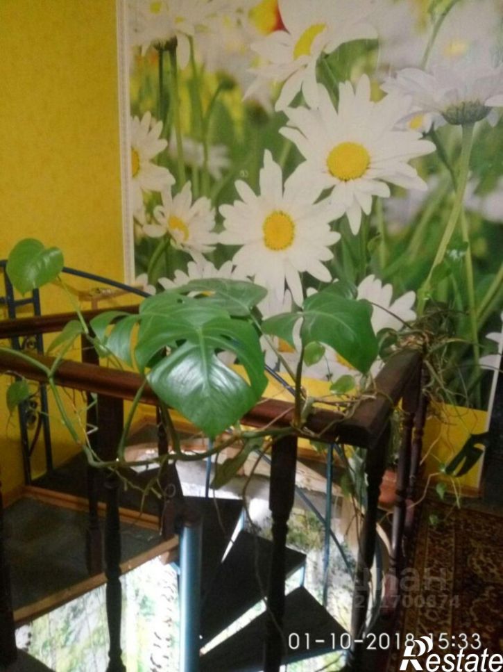 Коттедж/дом проезд Инициативный 6-й, 38,  д. 38