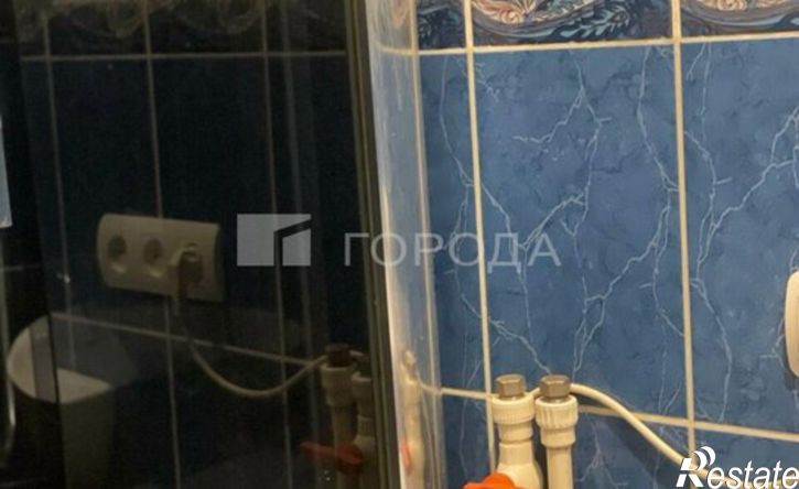 1-комн квартира улица Эмилии Алексеевой, 13А,  д. 13А