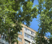 комната 65 кв м улица Островского, 50