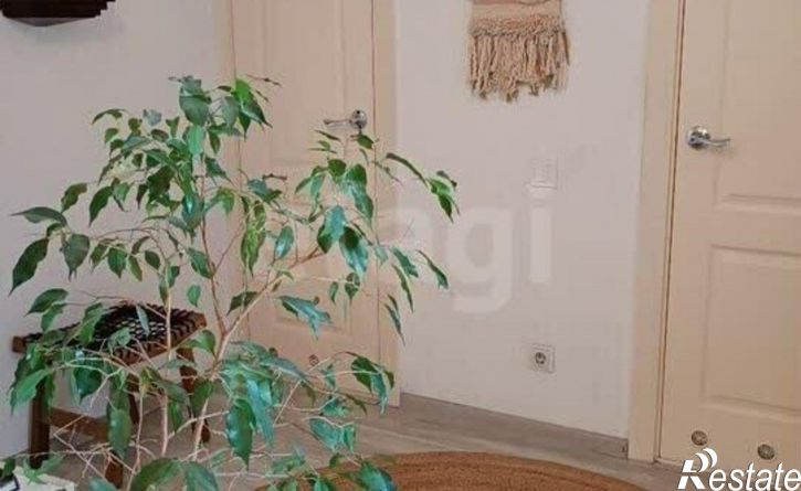 2-комн квартира Южный Власихинский пр-д, 46,  д. 46