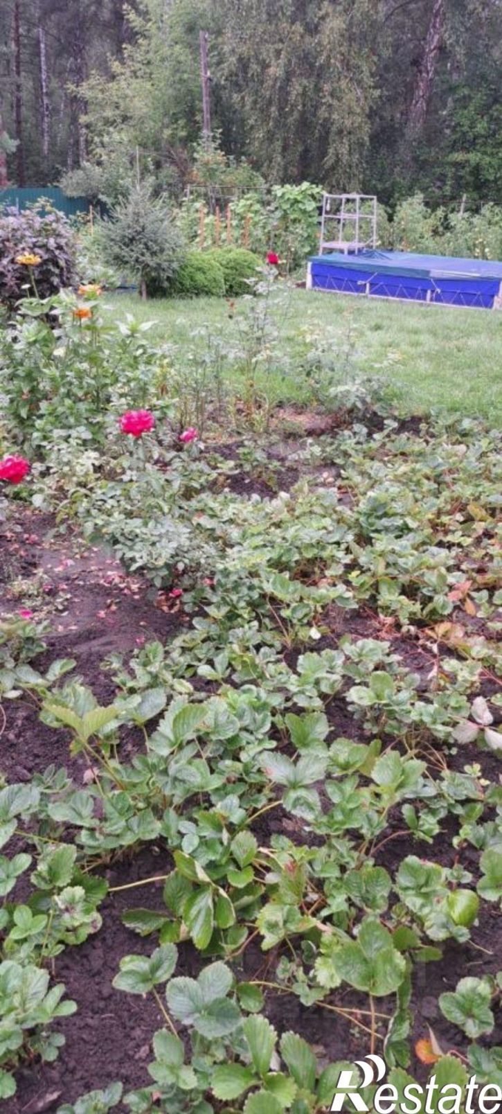 Коттедж/дом городской округ Барнаул