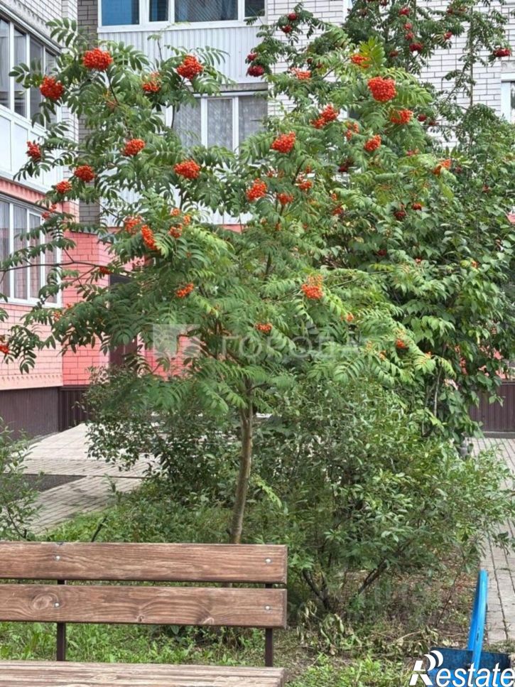 1-комн квартира ул Кутузова, 16б,  д. 16б