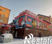ОСЗ 1142 кв м Пушкина 17а, 17а