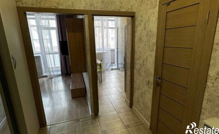 1-комн квартира ул Партизанская, 55,  д. 55