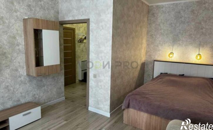 1-комн квартира ул Партизанская, 55,  д. 55