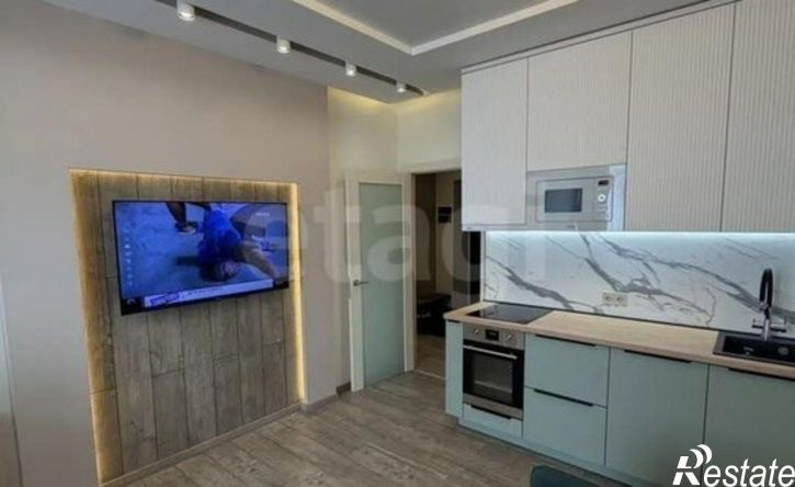 1-комн квартира ул Партизанская, 55,  д. 55