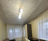 комната 32 кв м ул Цаплина, 106/33