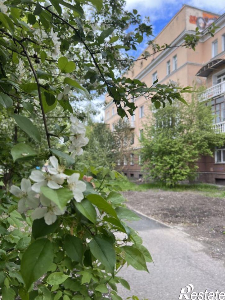 3-комн квартира пр-кт Калинина, 12/1,  д. 12/1