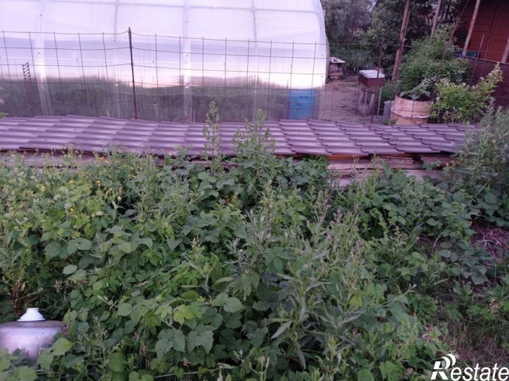 Коттедж/дом городской округ Барнаул