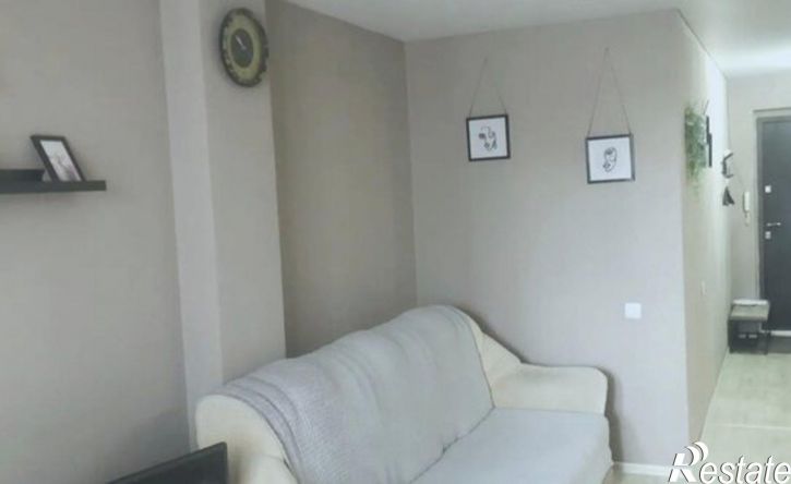 1-комн квартира ул Никитина, 107,  д. 107