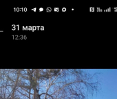 коттедж 27 кв м городской округ Барнаул