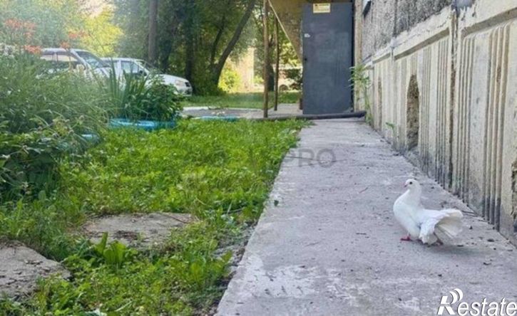 1-комн квартира Новосибирская улица, 38,  д. 38