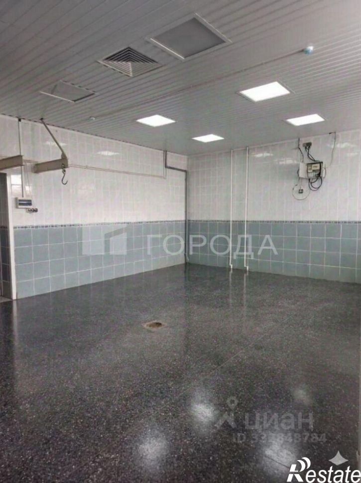 Производственное помещение Колхозный переулок, 28,  д. 28
