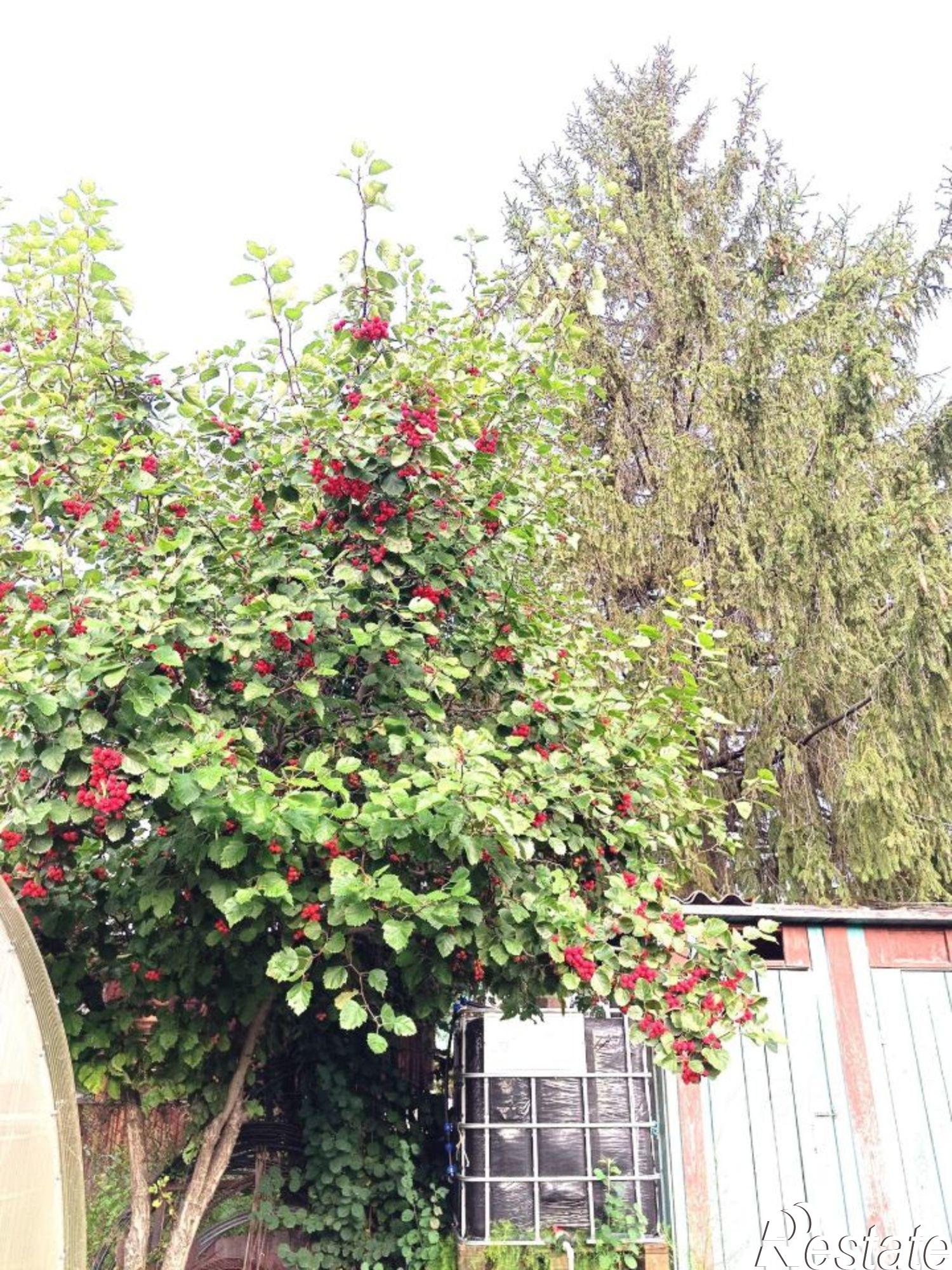 Купить дачу, дом, коттедж за 700 000 рублей на городской округ Барнаул