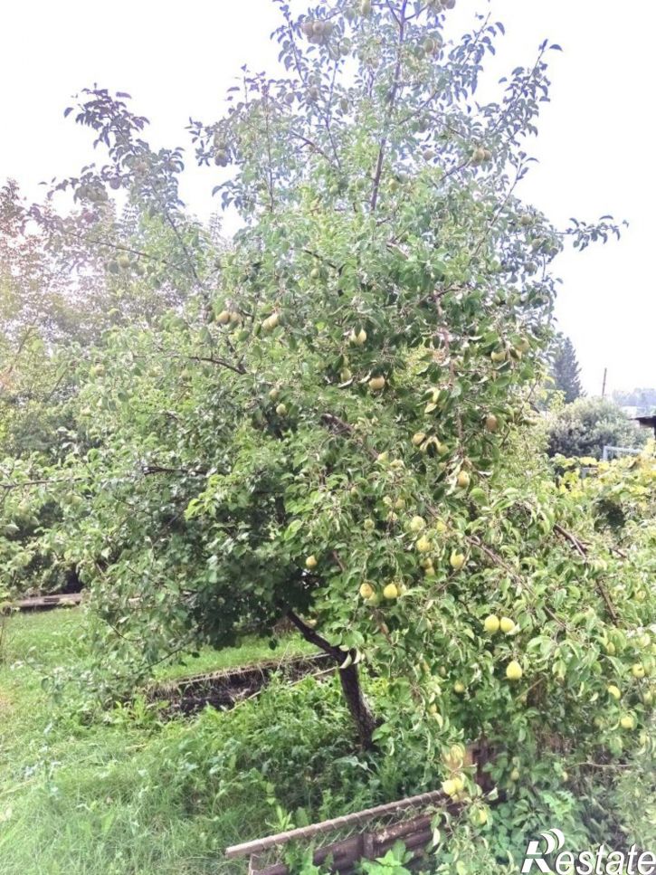 Коттедж/дом городской округ Барнаул