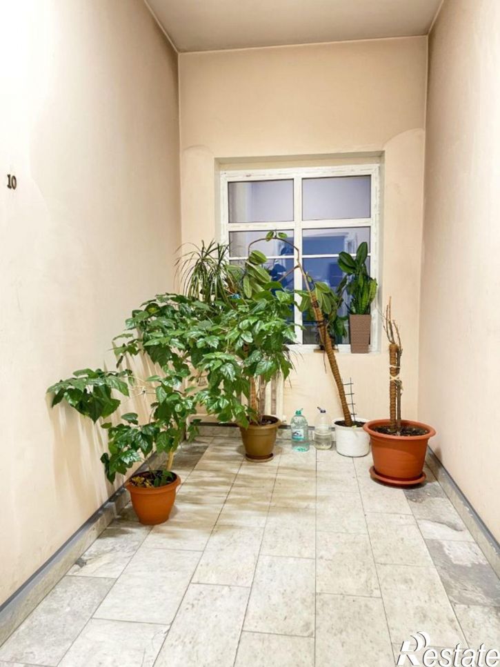 3-комн квартира улица Анатолия, 20,  д. 20