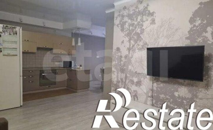 3-комн квартира улица Антона Петрова, 222А,  д. 222А